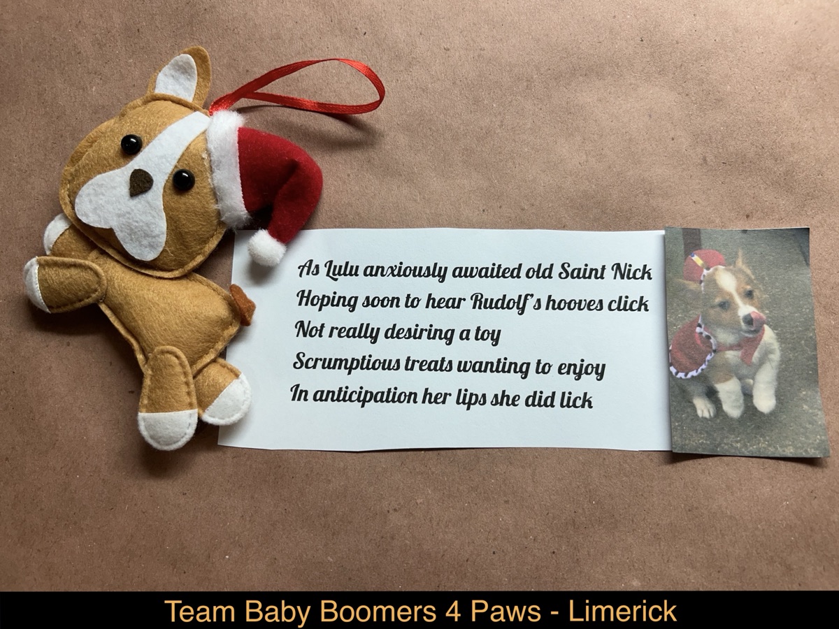 Baby Boomers 4 Paws — Limerick