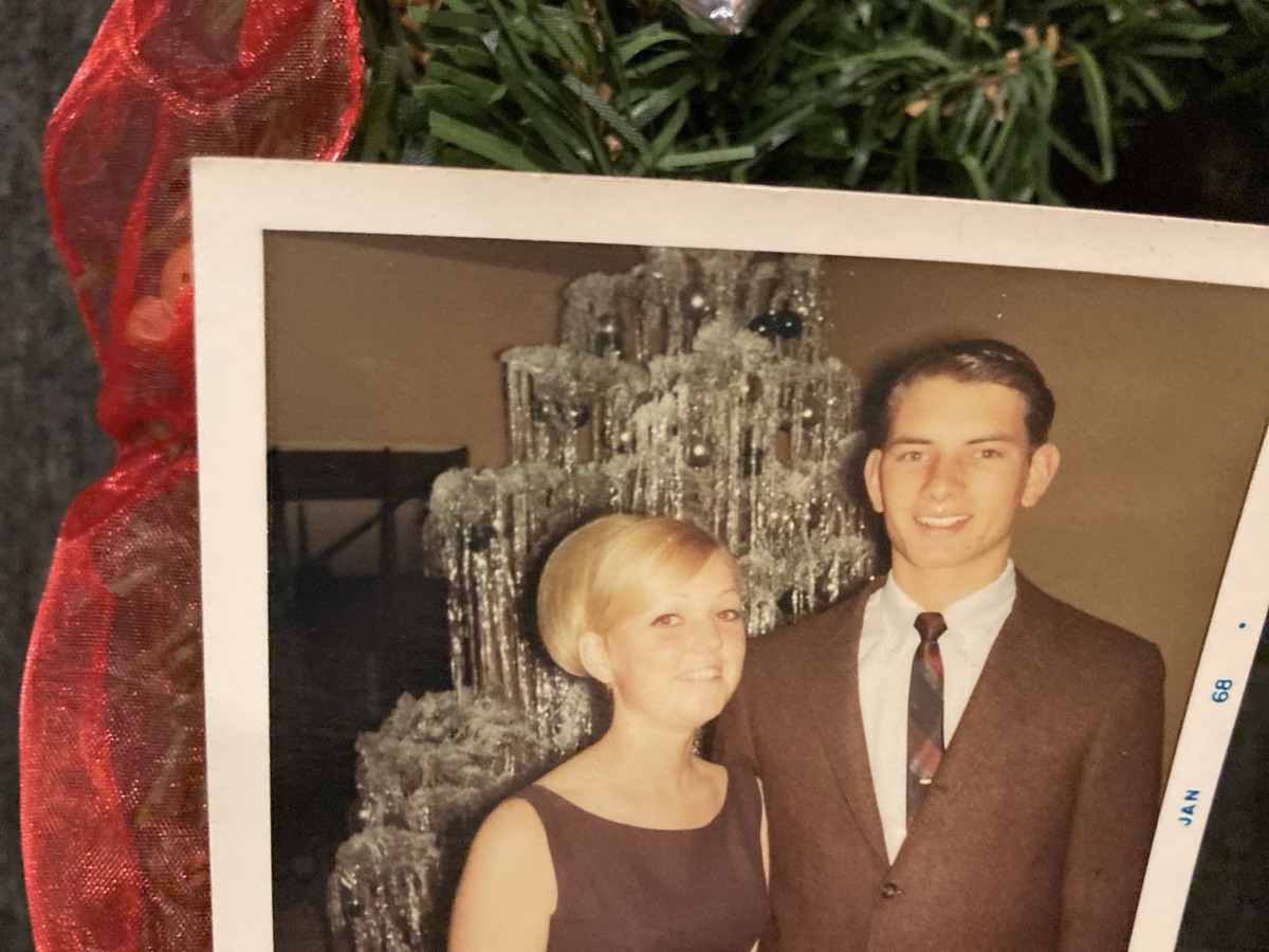 Baby Boomers 4 Paws — Family Portrait