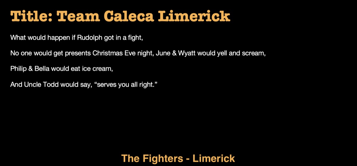 The Fighters — Limerick