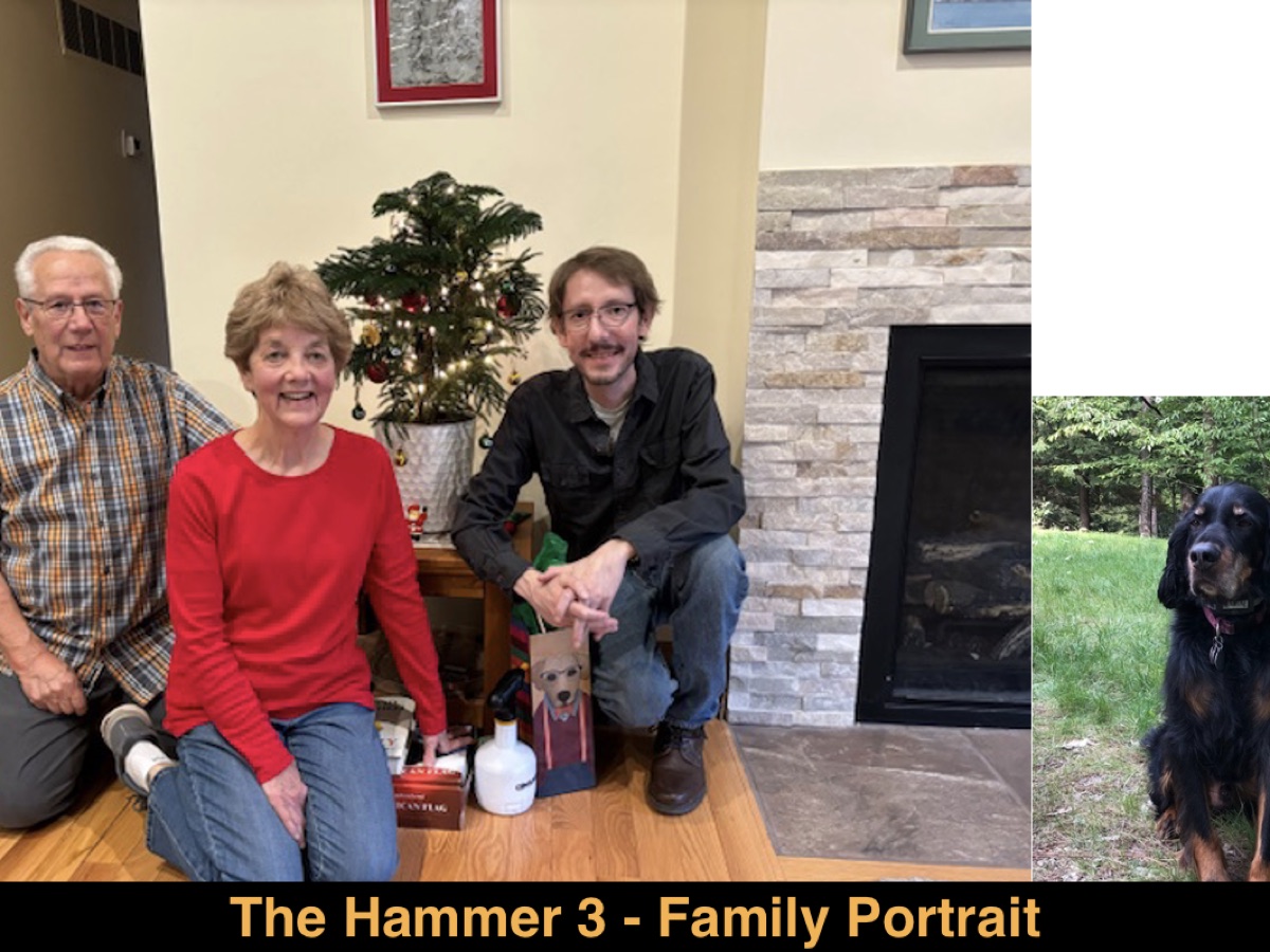 The Hammer 3 — Family Portrait