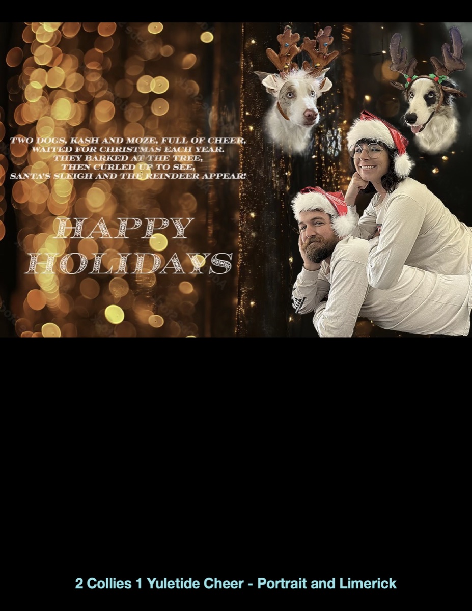 2 Collies 1 Yuletide Cheer — Portrait & Limerick